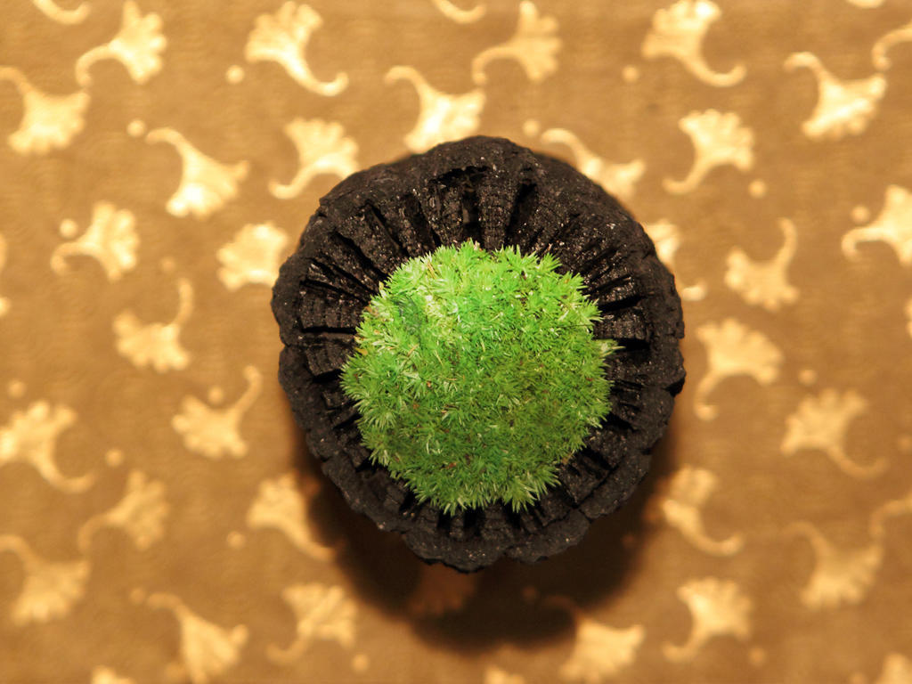 Hotel Asaya Nikko Exterior foto A green Starburst